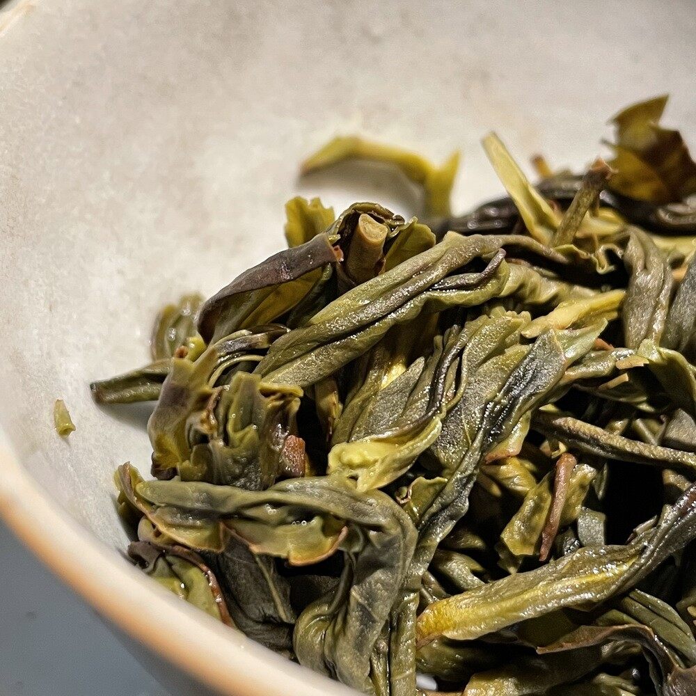 六雪单丛茶