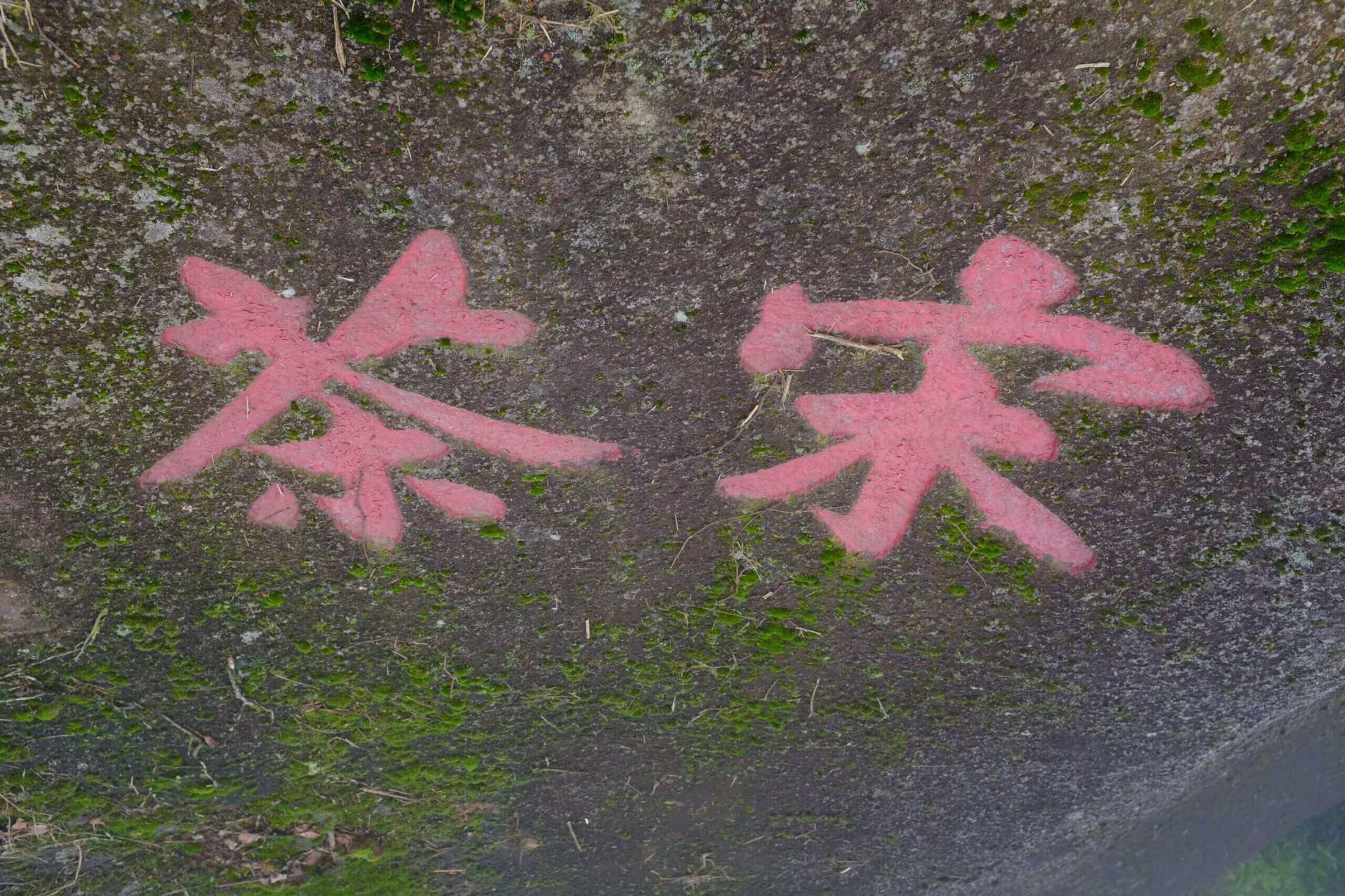 凤凰 宋茶