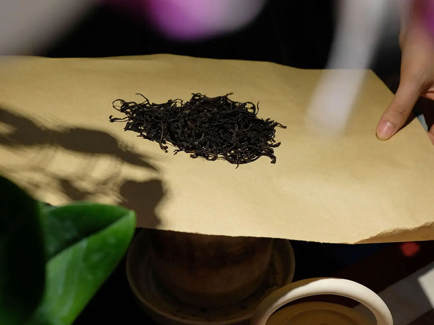 炙茶