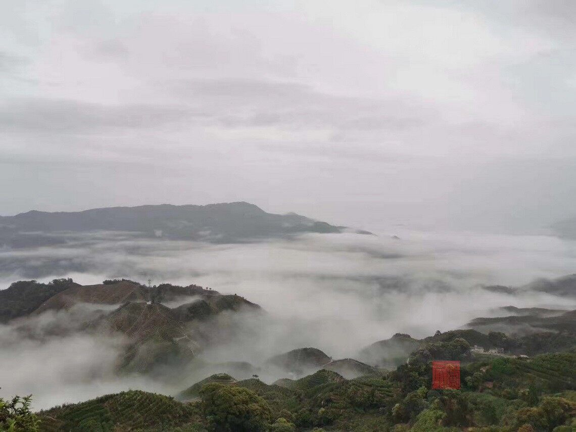 乌岽山鸟瞰