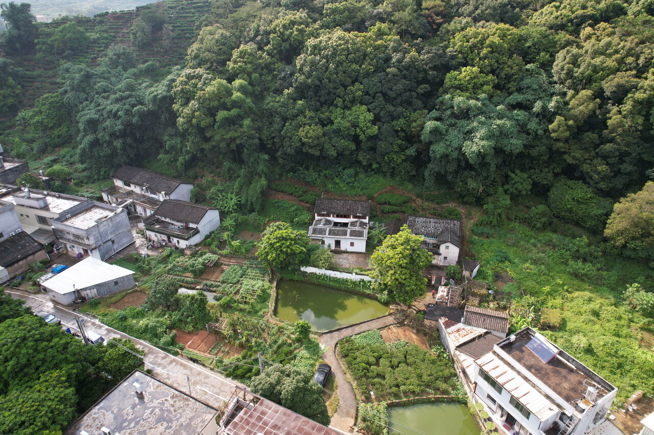 位于潮州凤凰山里的一芦居茶室