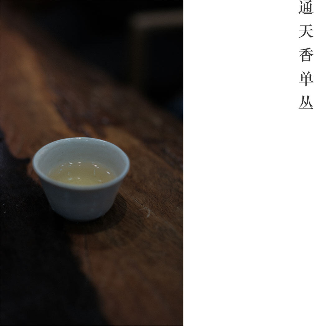 通天香单丛